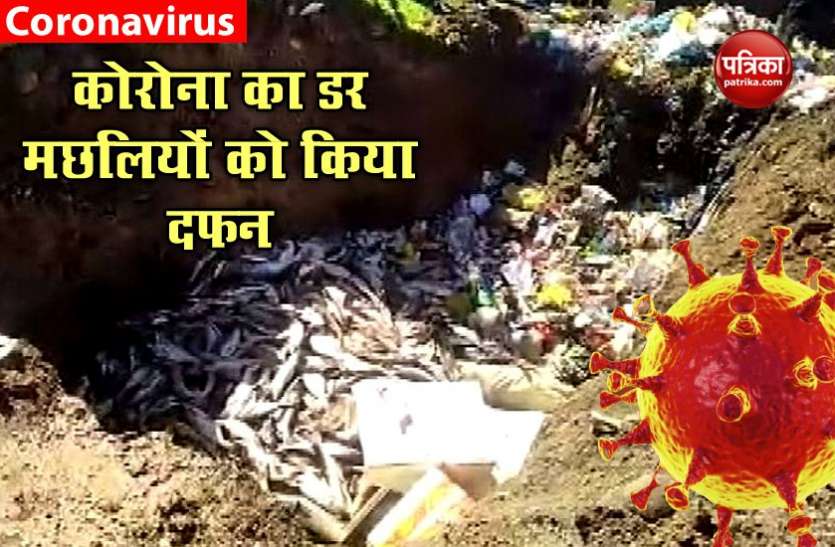 fish1.jpg कोरोना वायरस : मुर्गों के बाद अब मछलियों की बारी, हजारों क्विंटल को जमीन में गाड़ा