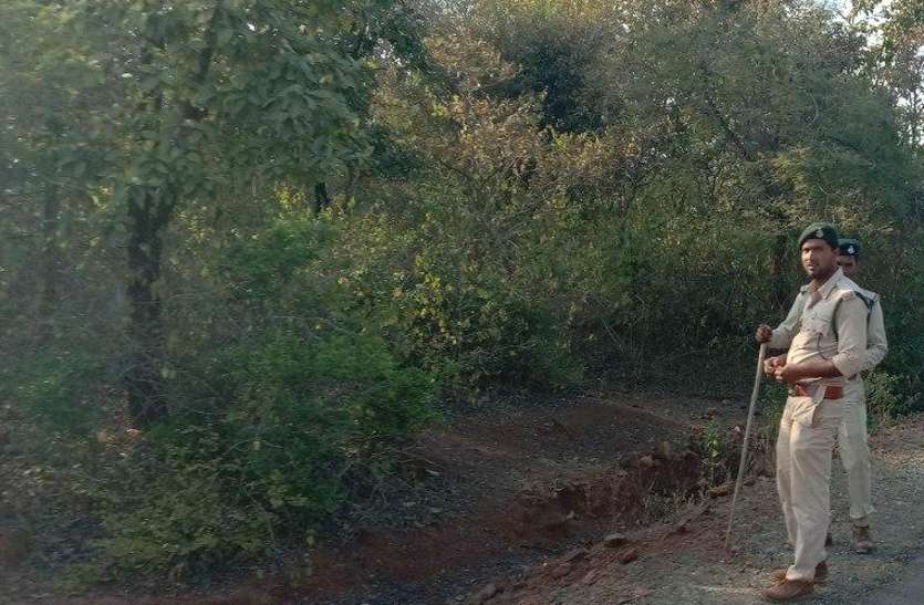 Beatguards engaged in the protection of forests वनों की सुरक्षा पर पड़ा लॉकडाउन का असर, फेल हुआ सूचना तंत्र