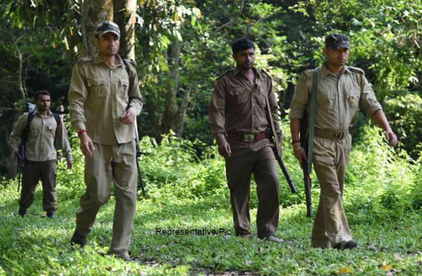 Forest Guard Recruitment 2020 Forest Guard Recruitment 2020: बारहवीं पास के लिए वन विभाग में फारेस्ट गार्ड और फॉरेस्टर के पदों पर निकली भर्ती