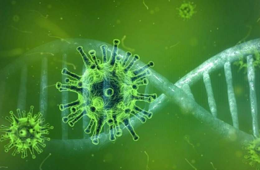 Coronavirus in bikaner दो लोगों के कोरोना वायरस की पुष्टी होने पर बीकानेर में कर्फ्यू