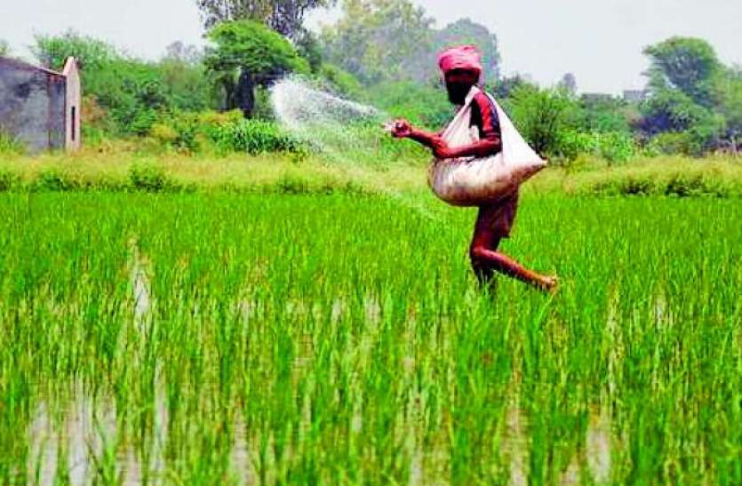 agriculture_sector.jpeg कृषि कार्यों पर कोविड-19 का असर नहीं