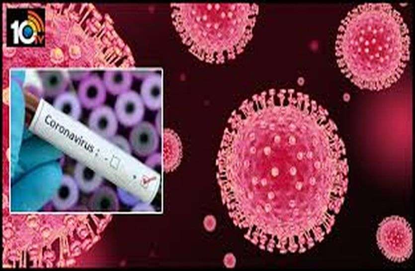 corona virus study