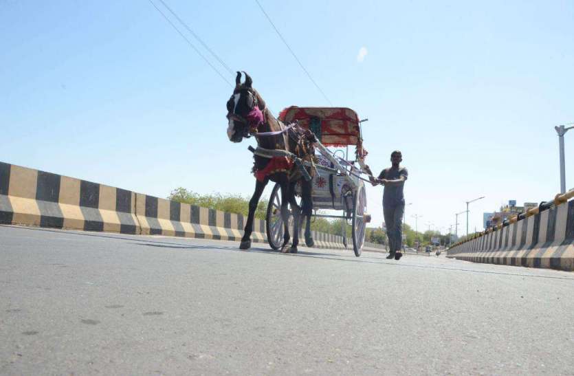 coronavirus लॉकडाउन में पशुपालकों को मिली बड़ी सहूलियत