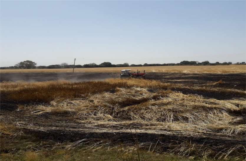 Fire in the standing crop of wheat गेहूं की खड़ी फसल में लगी आग