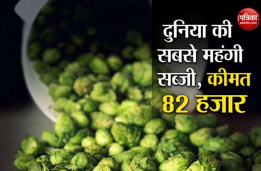 Hop Shoots Are More Expensive Than Silver Useful In Making Antibiotics - चांदी से भी ज्यादा ...