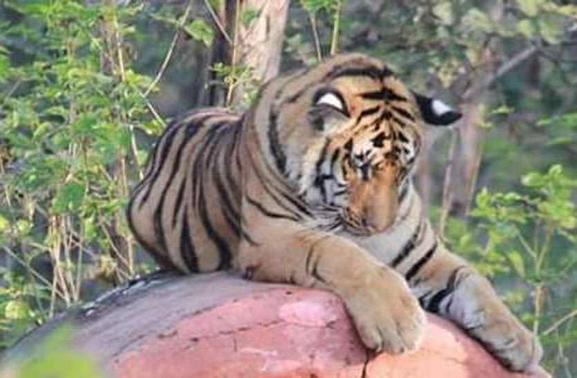 लॉकडाउन के बीच इस आहट से दहशत में बीहड़ के इलाके सहमे ग्रामीण लॉकडाउन के बीच इस आहट से दहशत में बीहड़ के इलाके सहमे ग्रामीण