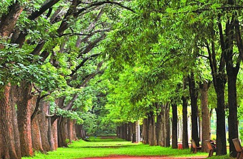 लॉकडाउन में गार्डन सिटी की हवा में घुली ‘खुशबू’ लॉकडाउन के दौरान गार्डन सिटी की हवा में घुली ‘खुशबू’