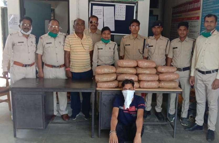 Police chased vehicle and caught a hemp worth six lakh rupees शहडोल के रास्ते गांजा तस्करी, 22 किलो गांजा और 6 लाख जब्त