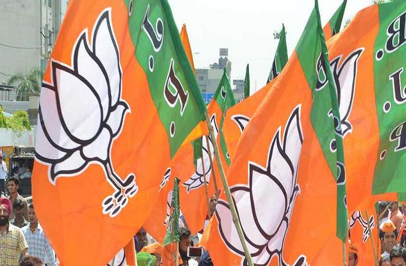 bjp नरेन्द्र त्रिपाठी को दूसरी बार भाजपा जिलाध्यक्ष की कमान