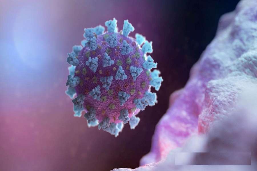 novel-coronavirus-covid-19.jpg