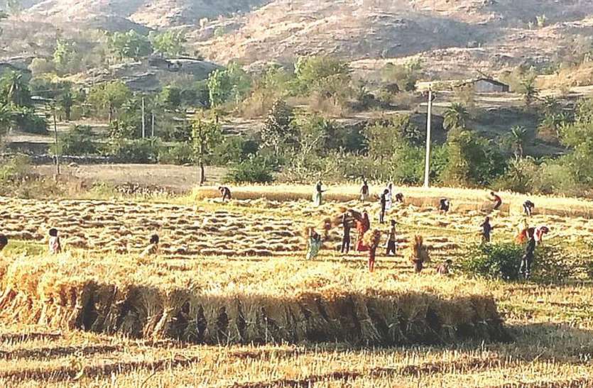 social distencing सोशल डिस्टेंसिंग: आदिवासी परंपरा से सीखें नायाब तरीके