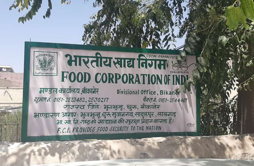 बीकानेर में गेहूं का छह माह के लिए है पर्याप्त भण्डारण बीकानेर में गेहूं का छह माह के लिए है पर्याप्त भण्डारण