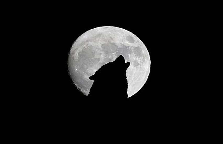 super_pink_moon_01.jpg