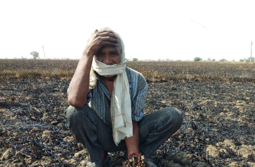 रात 12 बजे विद्युत स्पार्किंग से 71 बीघा गेहूं की फसल हुई राख, आग पर एक घंटे में पाया काबू रात 12 बजे विद्युत स्पार्किंग से 71 बीघा गेहूं की फसल हुई राख, आग पर एक घंटे में पाया काबू