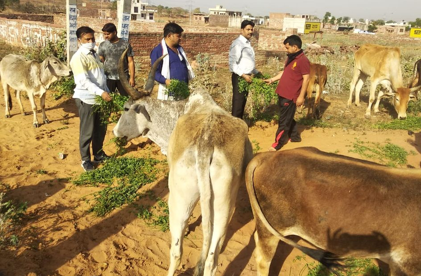 बेजुबाओं का दर्द समझ ऐसे बन रहे हैं हमदर्द बेजुबाओं का दर्द समझ ऐसे बन रहे हैं हमदर्द