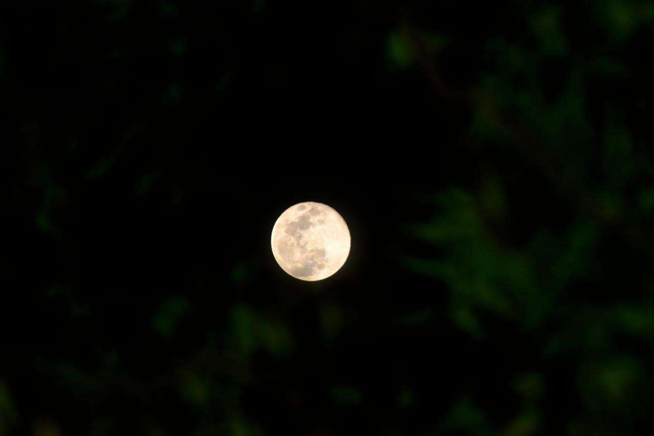moon1.jpg