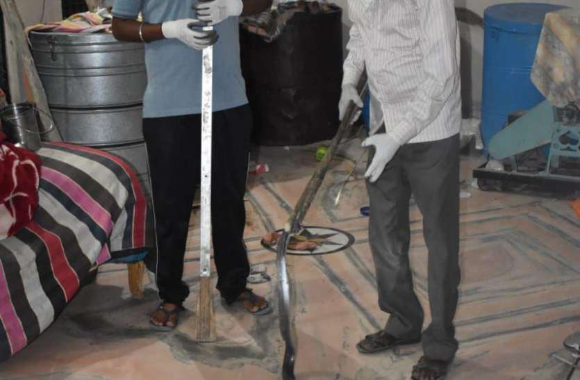 snake rescue कोरोना की दहशत के बीच कोबरा निकलने से मचा हड़कंप, लोगों की अटकी सांसें