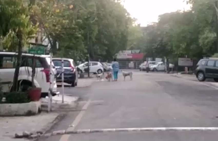 noida3.jpg