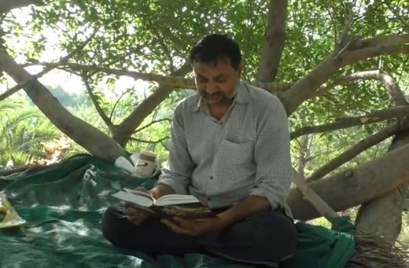 vlcsnap-2020-04-10-14h11m35s209.png Hapur: कोरोना से बचने के लिए वकील ने पेड़ पर बनाया आशियाना
