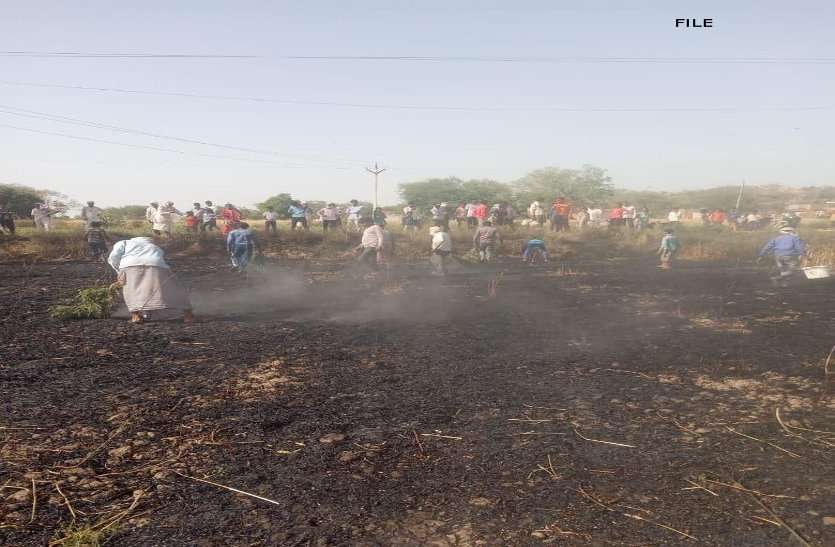Narwai fire spread in three km, loss of 35 farmers तीन किमी में फैली नरवाई की आग, 35 किसानों का नुकसान