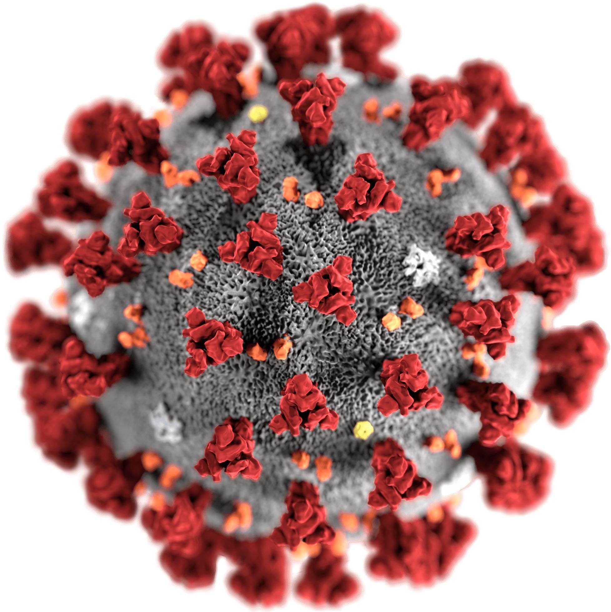एमआइटी प्रोफेसर ने कोरोना वायरस के जटिल संरचना को संगीत से दिखाया