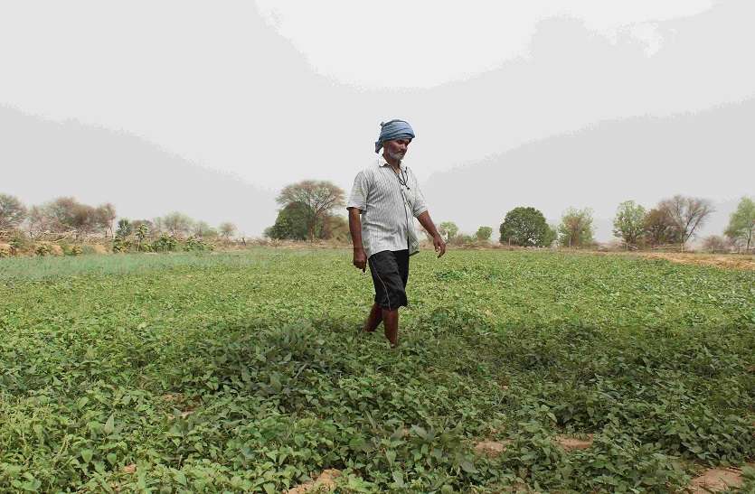 कृषि उत्पादों के निर्यात में आ रही बाधाएं जल्द होंगी दूर कृषि उत्पादों के निर्यात में आ रही बाधाएं जल्द होंगी दूर