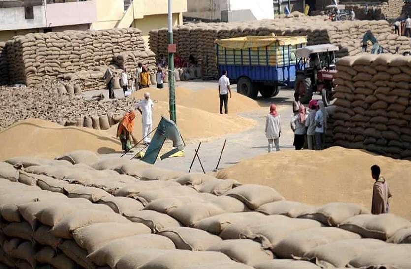 Wheat केन्द्रों पर बगैर ढेर लगाए सीधे बोरियों में भर रहे गेहूं, अन्नदाता को मैसेज का इंजतार