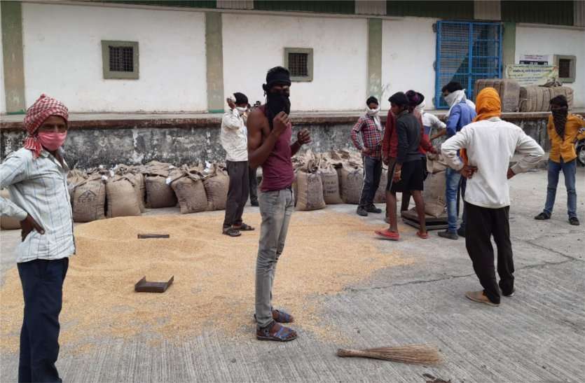 Wheat not being purchased as per registration पंजीयन के अनुसार नहीं खरीदे जा रहा गेहूं, किसान हो रहे परेशान