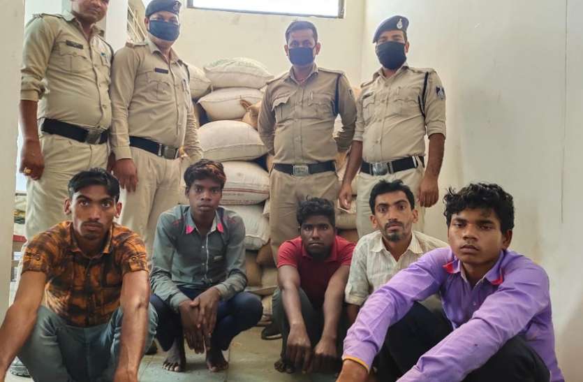 Action taken on the instruction of Singrauli SP राशन गोदाम से अनाज चोरी करने वाले पांच आरोपियों को पुलिस ने पकड़ा