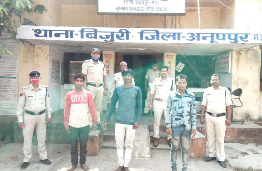Three accused arrested in liquor shop theft case, liquor worth 71 thou शराब दुकान से चोरी मामले में तीन आरोपी गिरफ्तार, 71 हजार की शराब जब्त