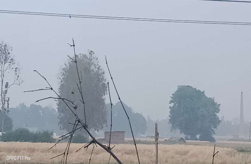 बेमौसम बारिश से हफ्ते भर तक गेहूं कटाई और मड़ाई का काम रुका, अगले 24 घंटों के लिए मौसम विभाग ने जारी की चेतावनी बेमौसम बारिश से हफ्ते भर तक गेहूं कटाई और मड़ाई का काम रुका, अगले 24 घंटों के लिए मौसम विभाग ने जारी की चेतावनी