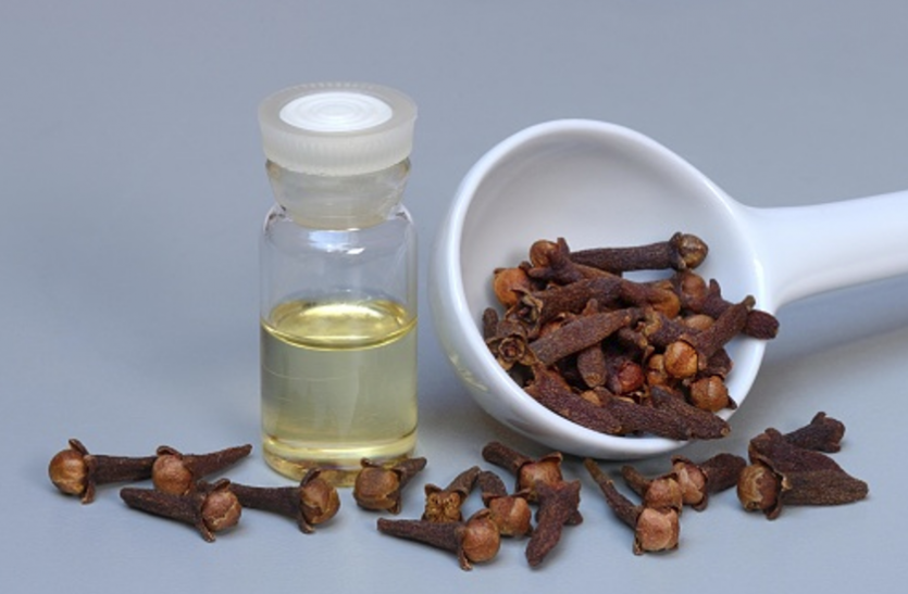 Skin Care Tips: Apply Clove oil At Night and get soft and fair skin Skin Care Tips: बेदाग और मुलायम त्वचा के लिए इस तरह लगाएं लौंग का तेल