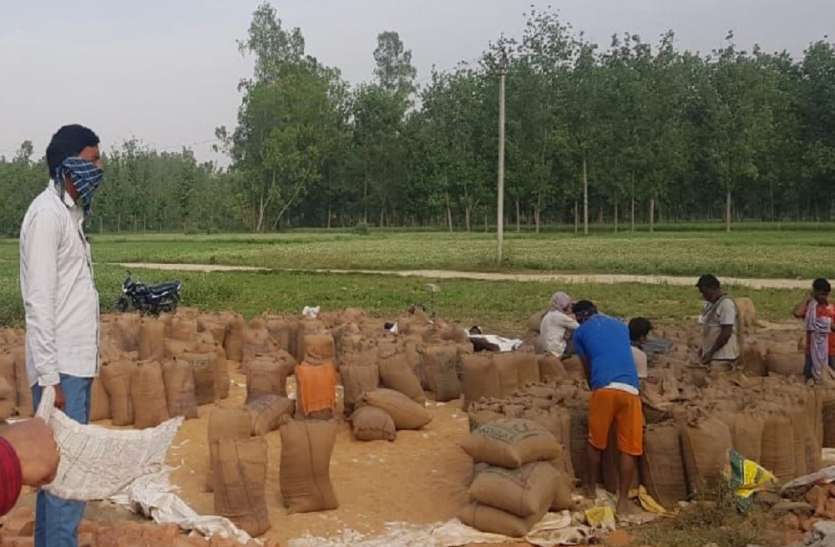 बारिश-आंधी ने बढ़ाई मुसीबत : गेहूं कटाई और मड़ाई का काम एक हफ्ते बाधित बारिश-आंधी ने बढ़ाई मुसीबत : गेहूं कटाई और मड़ाई का काम एक हफ्ते बाधित