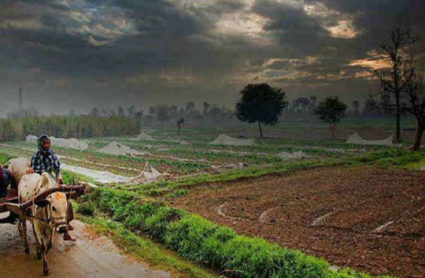 farmer.jpg मौसम विभाग का अलर्ट रविवार और सोमवार को आंधी, बारिश और ओलावृष्टि