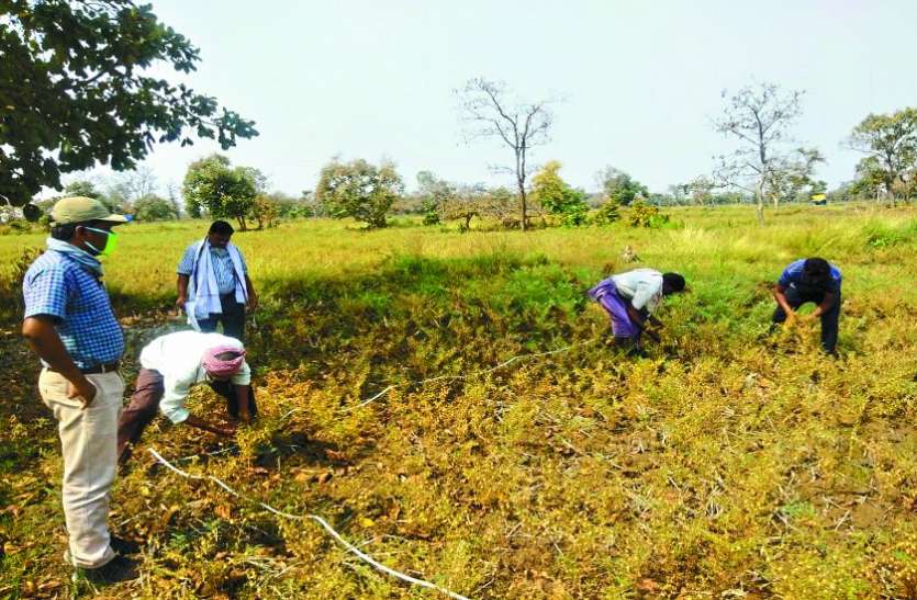 किसानों को लागत भी मिलना मुश्किल किसानों को लागत भी मिलना मुश्किल