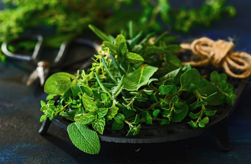 Herbal Immunity Booster: Ayurveda remedies To Boost immunity Herbal Immunity Booster: आयुर्वेद से बढ़ाए इम्यूनिटी, निखारे त्वचा की रंगत
