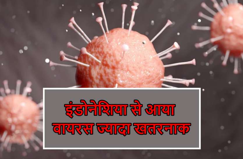 latest.jpg COVID-9: लंदन वाले की तुलना में इंडोनेशिया से आया वायरस ज्यादा खतरनाक