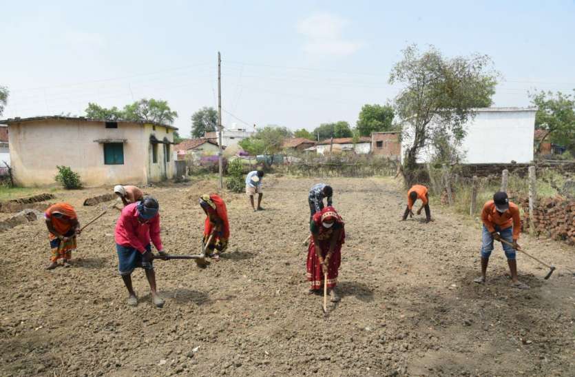 बिल्हा जनपद पंचायत के 90 पंचायतों में 47 सौ मजदूर मनरेगा में कर रहे काम बिल्हा जनपद पंचायत के 90 पंचायतों में 47 सौ मजदूर मनरेगा में कर रहे काम