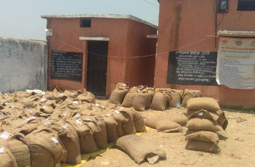 Rabi procurement will start from today, 42 centers will be purchased रबी का उपार्जन आज से होगा प्रारंभ, 42 केंद्रों में होगी खऱीदी