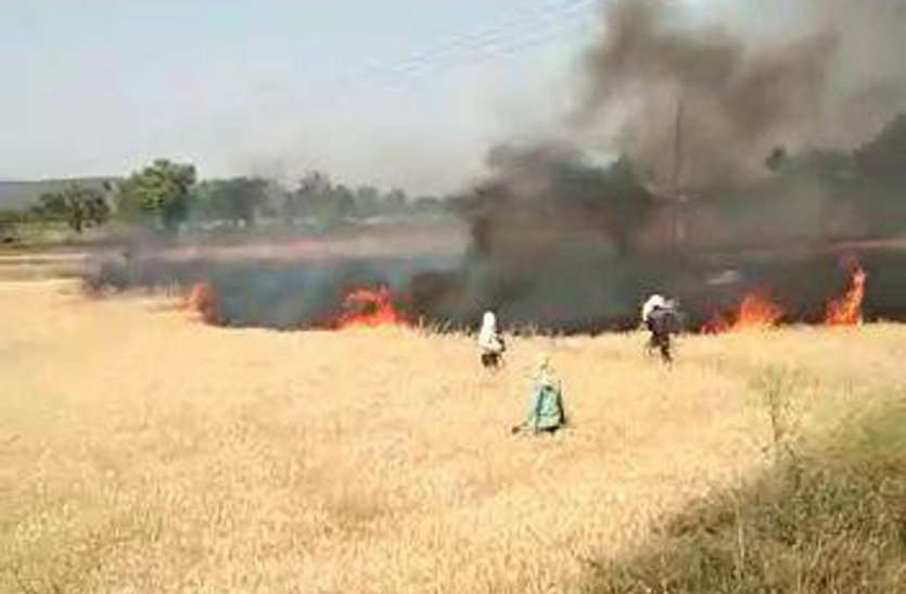 Crop of millions destroyed due to fire in field and barn खेत व खलिहान में आग लगने से खाक हुई लाखों की फसल