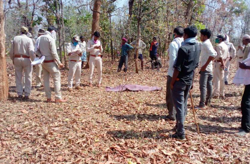 Mahua picks up a girl, goes wild in front of parents, picks flowers महुआ फूल चुनने गई किशोरी को माता-पिता के सामने उठा ले गया वन्य प्राणी, उतारा मौत के घाट