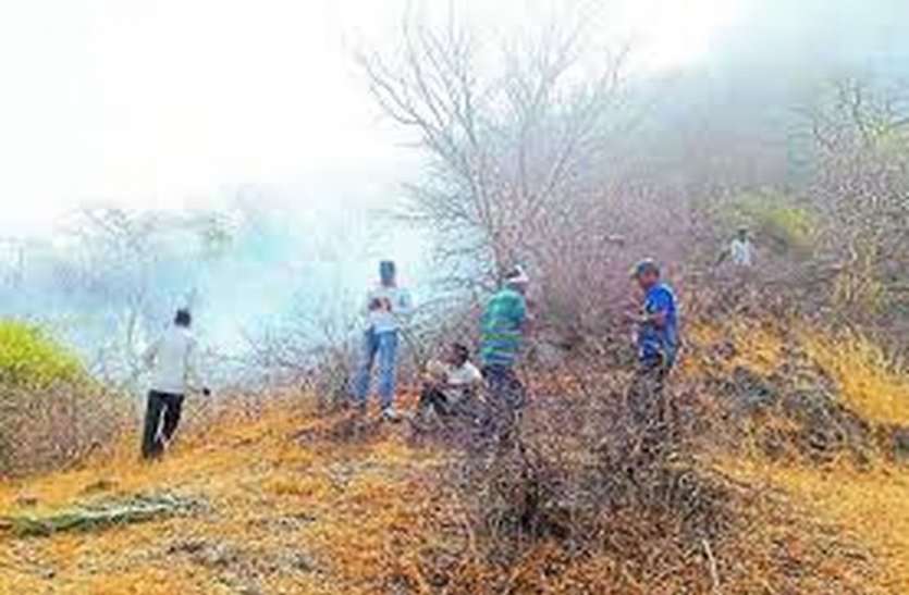 Jaisamand Sanctuary fires धधकता रहा जयसमंद अभयारण्य