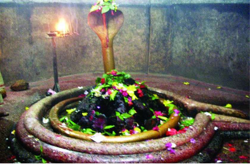 सोमवार को शिवलिंग का करें इस चीज से अभिषेक-रोगों से मिलेगी कुछ ही घंटो में मुक्ति