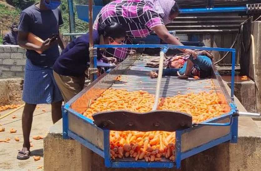 मशीन में दुपट्टा फंसने से युवती की गर्दन कटी मशीन में दुपट्टा फंसने से युवती की गर्दन कटी
