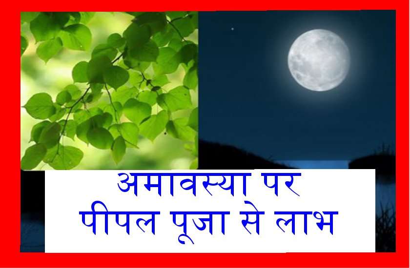 वैशाखी अमावस्या 22 अप्रैलः पीपल पेड़ के नीचे कर लें यह उपाय, मनचाही इच्छा होगी पूरी