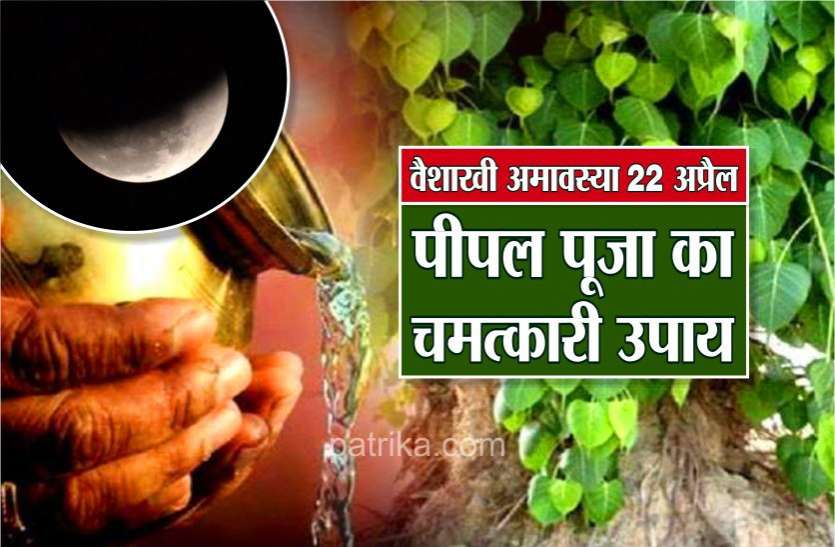 वैशाखी अमावस्या 22 अप्रैलः पीपल पेड़ के नीचे कर लें यह उपाय, मनचाही इच्छा होगी पूरी वैशाखी अमावस्या 22 अप्रैलः पीपल पेड़ के नीचे कर लें यह उपाय, मनचाही इच्छा होगी पूरी