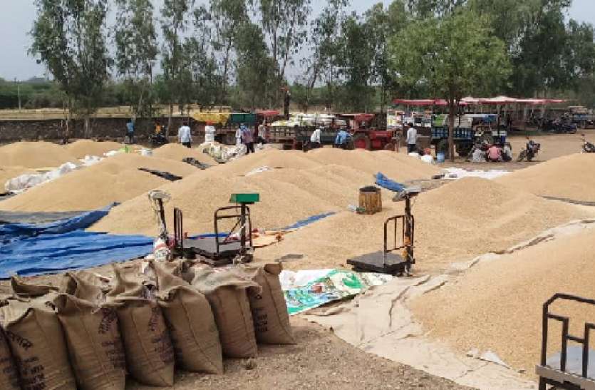 मंडी में किसानों का इंतजार हुआ लंबा वैज्ञानिक तरीके से गेहूँ भंडारण में अग्रणी राज्य बना मध्यप्रदेश
