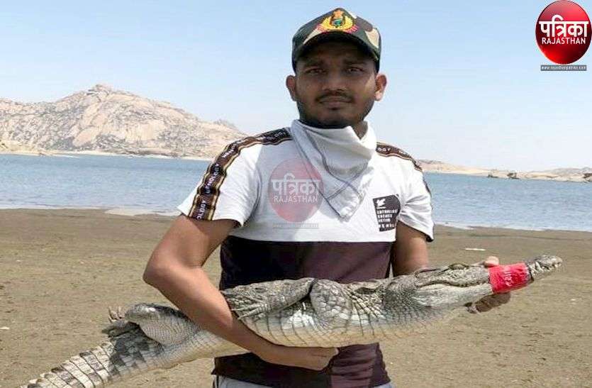 जवाई बांध से निकलकर उद्यान में पहुंचा मगरमच्छ, रेस्क्यू टीम ने बांध में छोड़ा जवाई बांध से निकलकर उद्यान में पहुंचा मगरमच्छ, रेस्क्यू टीम ने बांध में छोड़ा