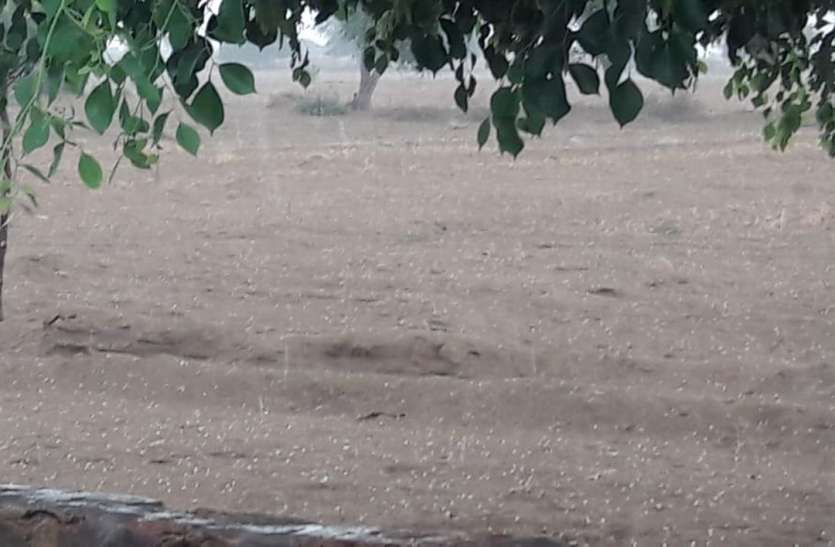 नहरी क्षेत्र में बारिश के साथ ओले गिरे, स्वर्णनगरी में मौसम हुआ सुहावना नहरी क्षेत्र में बारिश के साथ ओले गिरे, स्वर्णनगरी में मौसम हुआ सुहावना