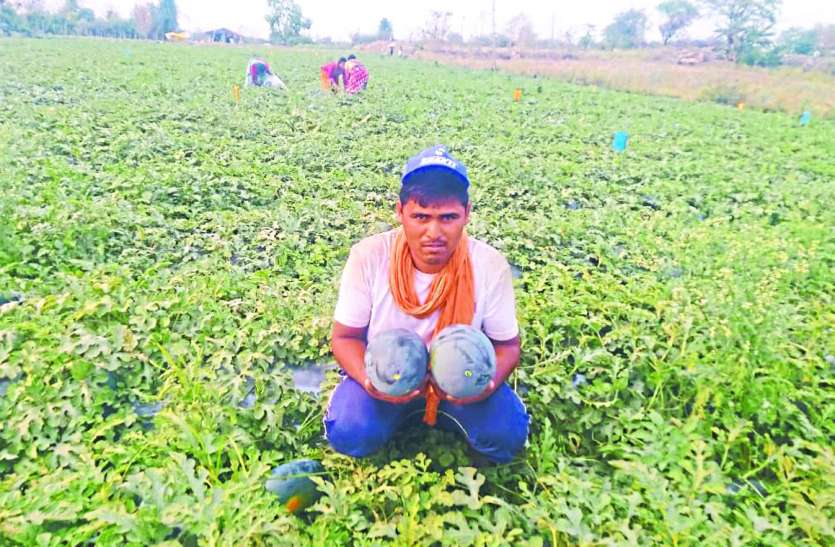 lockdown-production-is-full-why-farmers-are-facing-economic-crisis Lockdown: उत्पादन भरपूर, फिर क्यों आर्थिक संकट से जूझ रहे किसान